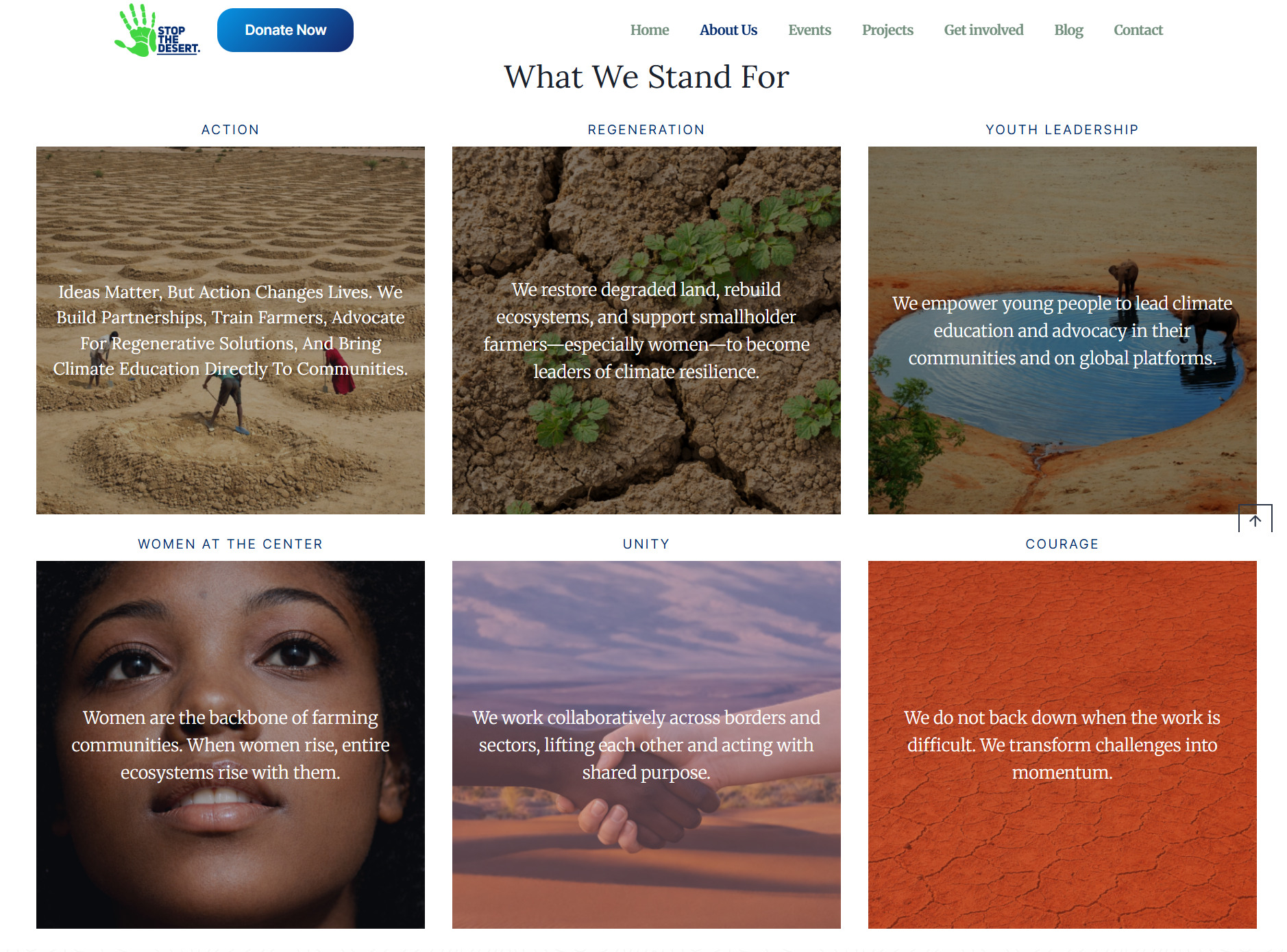 Stop The Desert Website